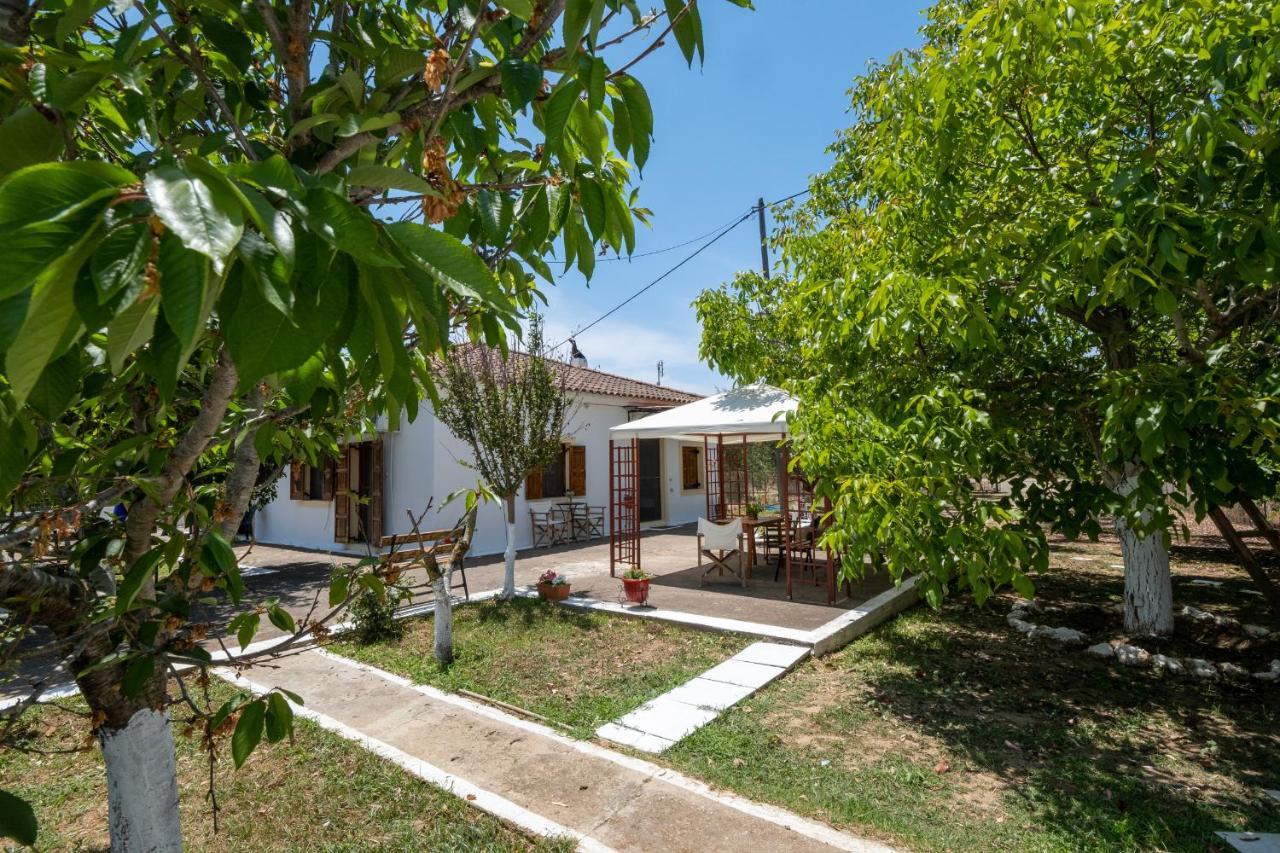 Nagia'S House, Εξοχική Κατοικία Κοντά Στη Θάλασσα! Korakokhórion Extérieur photo